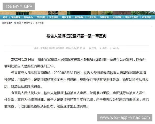 哈兰德禁区争议判罚英超裁判报告详解